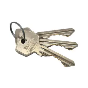 key blanks, for Trioving keyways. Each