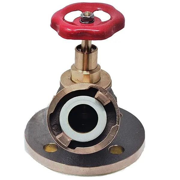 Valve 60 degree angle on Flange - Image 2