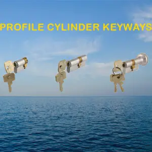 https -//izerwaren.biz/Home/SubCategories/222?name=profile-cylinder-key-knob-gsv-s-b-locks